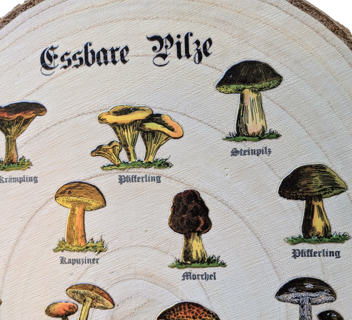 Rustikale Paulownia-Holzscheibe mit Rinde, bedruckt mit historischen Illustrationen essbarer Pilze und altdeutschen Namen im Vintage-Botanik-Stil auf hellem Holz.