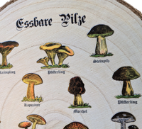 Rustikale Paulownia-Holzscheibe mit Rinde, bedruckt mit historischen Illustrationen essbarer Pilze und altdeutschen Namen im Vintage-Botanik-Stil auf hellem Holz.