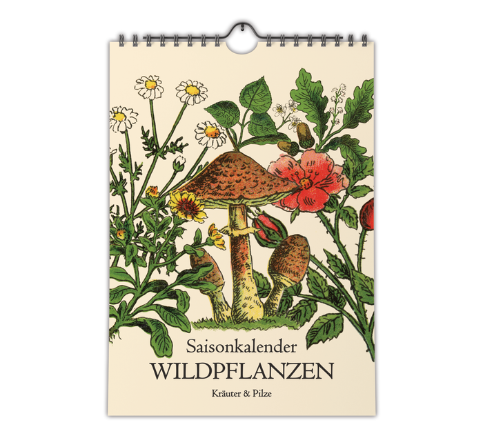 A4-Wandkalender mit historischen Illustrationen von Wildpflanzen, Kräutern und Pilzen aus der Zeit um 1900; Monatsübersicht mit saisonalen Pflanzen, hochwertiger Fineart-Druck auf Premium-Papier, Vintage-Design mit schwarzer Spiralbindung.