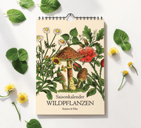 A4-Wandkalender mit historischen Illustrationen von Wildpflanzen, Kräutern und Pilzen aus der Zeit um 1900; Monatsübersicht mit saisonalen Pflanzen, hochwertiger Fineart-Druck auf Premium-Papier, Vintage-Design mit schwarzer Spiralbindung.
