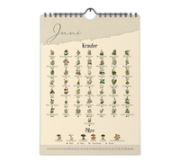 A4-Wandkalender mit historischen Illustrationen von Wildpflanzen, Kräutern und Pilzen aus der Zeit um 1900; Monatsübersicht mit saisonalen Pflanzen, hochwertiger Fineart-Druck auf Premium-Papier, Vintage-Design mit schwarzer Spiralbindung.