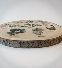 Runde Wanddekoration aus hellem Paulownia-Holz mit echter Rinde. Die Holzscheibe zeigt einen kreisförmigen, farbigen UV-Druck mit 8 detailreichen Vintage-Illustrationen von verschiedenen Obstsorten und Früchten aus der Zeit um 1900. In der Mitte steht der geschwungene Schriftzug "Der Garten". Der Druck besitzt ein fühlbares 0,3 mm Relief.
