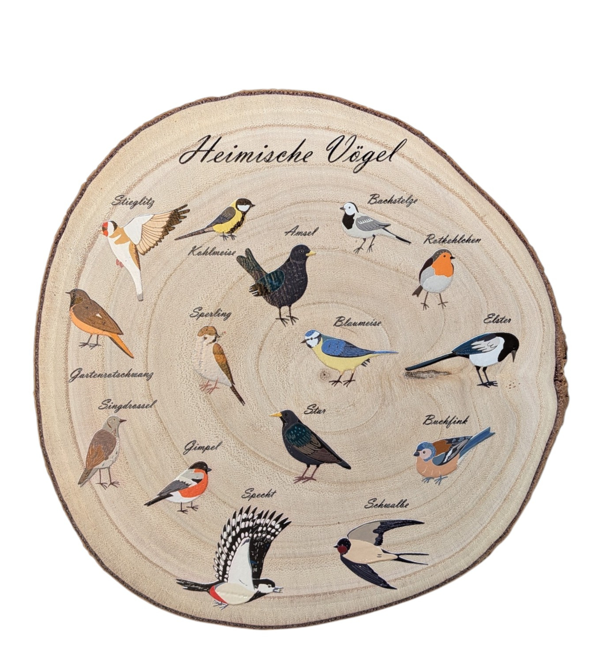 Eine runde Holzscheibe aus hellem Paulownia-Holz mit echter Baumrinde. Auf der Oberfläche sind im Kreis 14 verschiedene heimische Vogelarten wie Blaumeise, Rotkehlchen und Specht mit ihren Namen farbig aufgedruckt. Oben steht der geschwungene Schriftzug "Heimische Vögel". Der Druck hat ein fühlbares 0,3 mm Relief.