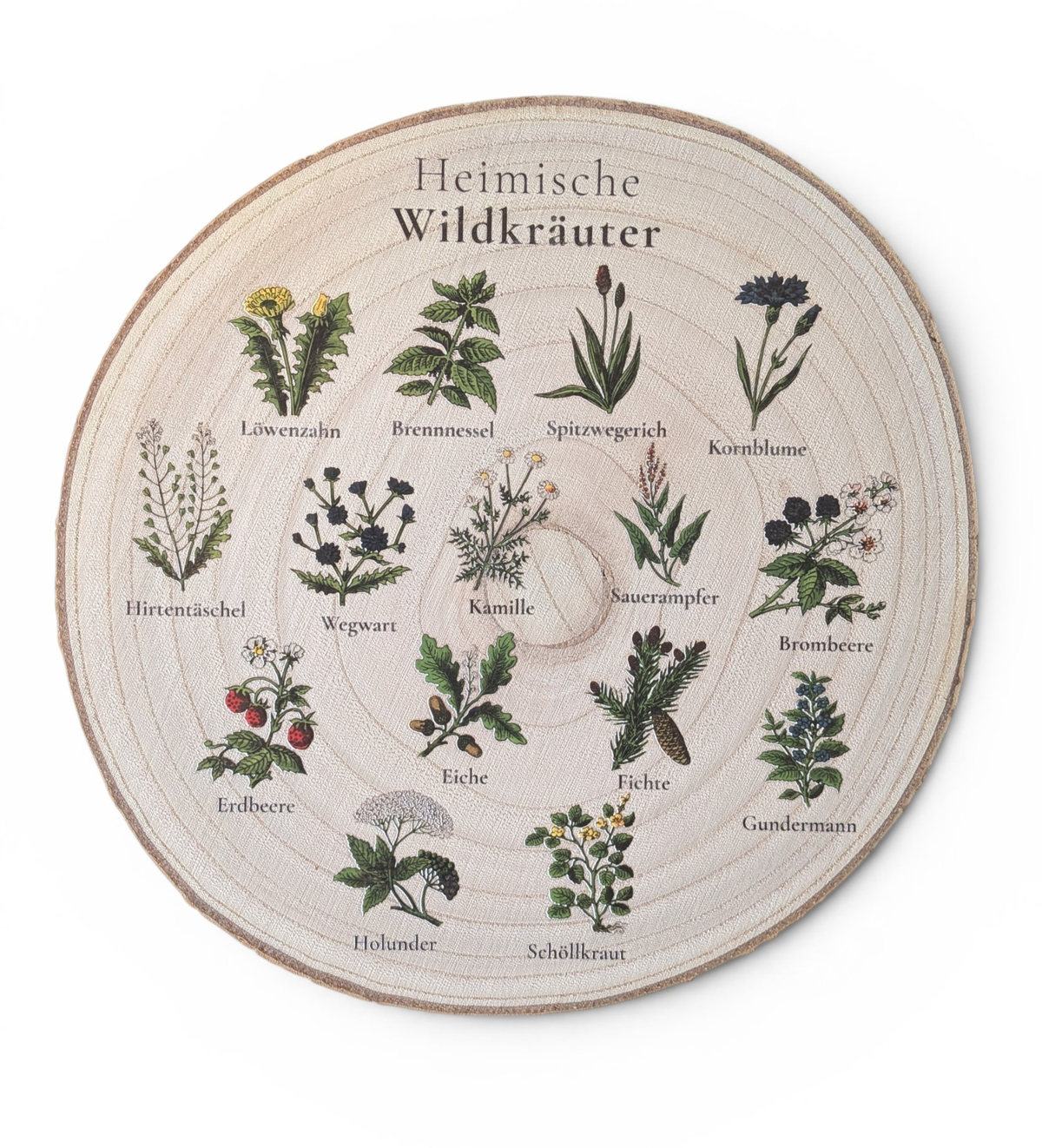 Kreisrunde, rustikale Holzscheibe mit natürlicher Rinde, auf die 16 detailreiche, farbige Vintage-Illustrationen heimischer Wildkräuter und Bäume mit ihren Namen im Kreis angeordnet gedruckt sind. In der Mitte steht der Titel „Heimische Wildkräuter“ in eleganter Schrift.