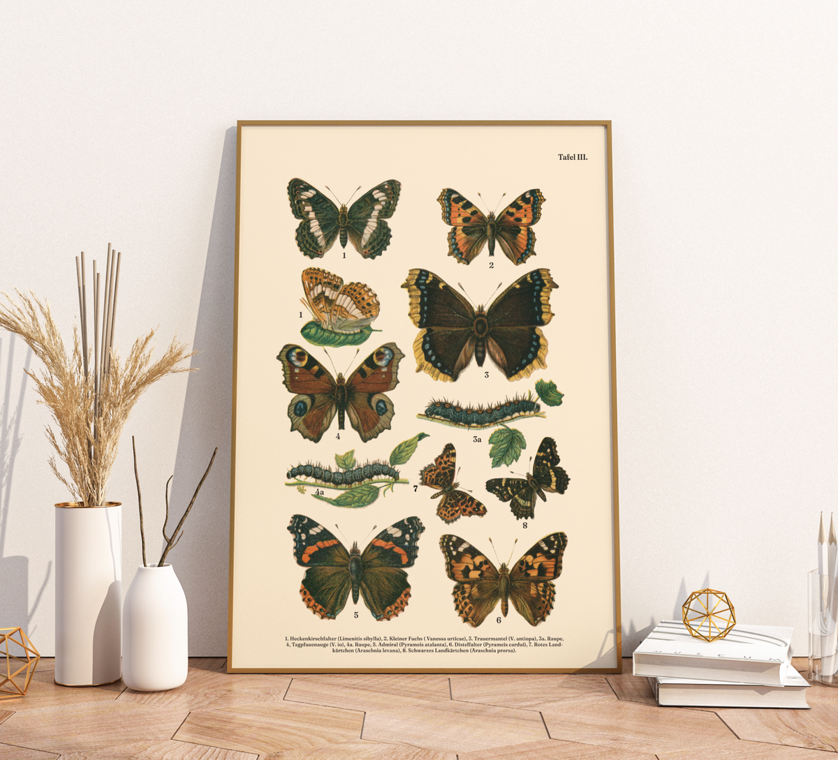 Vintage Schmetterlings-Poster (ca. 1900). Hochwertiger Druck auf 200g/qm Premium-Papier. Erhältlich in DIN A4 oder A3. Detailgetreue botanische Illustration mit Artbezeichnungen für Ihr Zuhause.