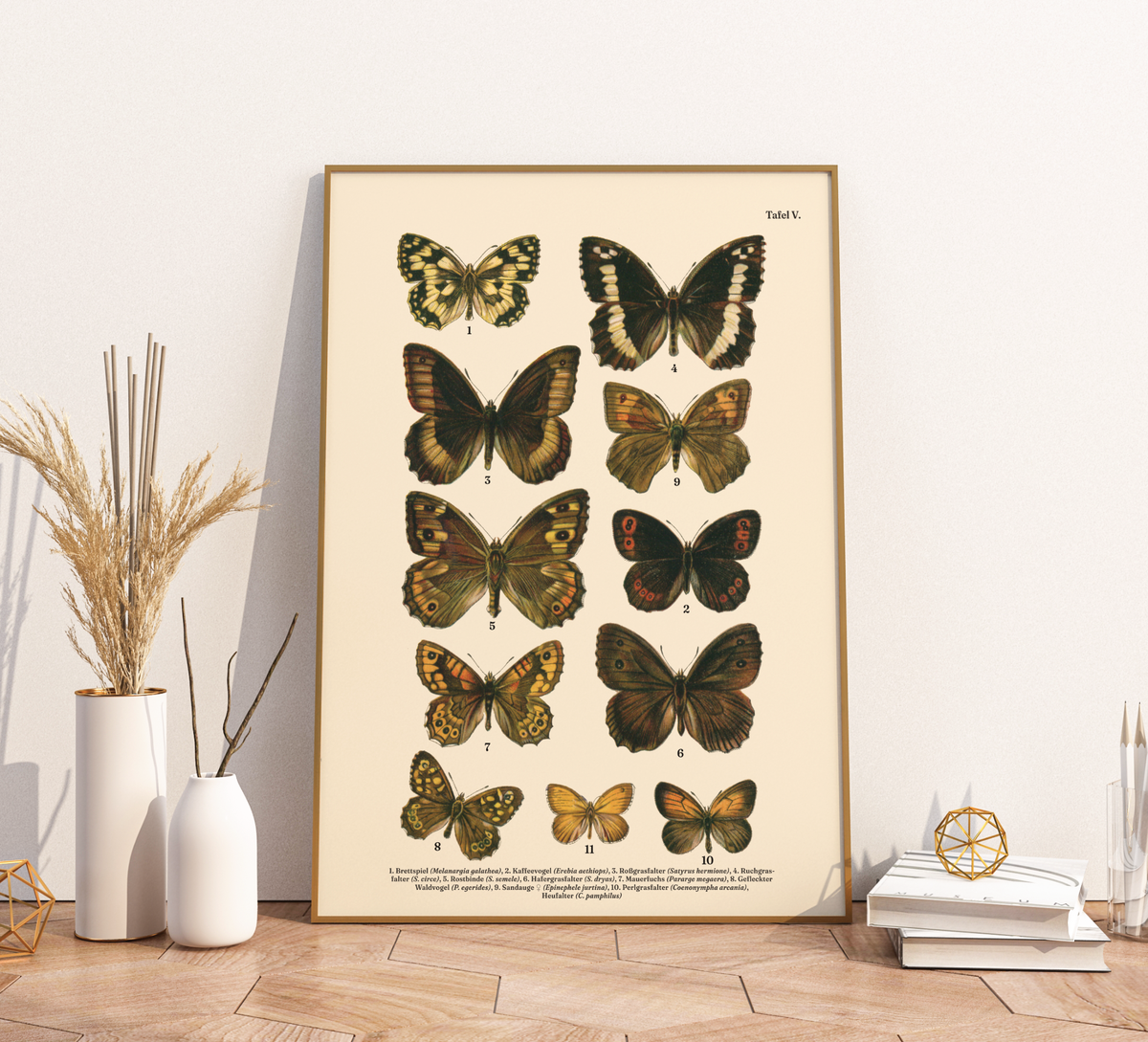 Vintage Schmetterlings-Poster (ca. 1900). Hochwertiger Druck auf 200g/qm Premium-Papier. Erhältlich in DIN A4 oder A3. Detailgetreue botanische Illustration mit Artbezeichnungen für Ihr Zuhause.