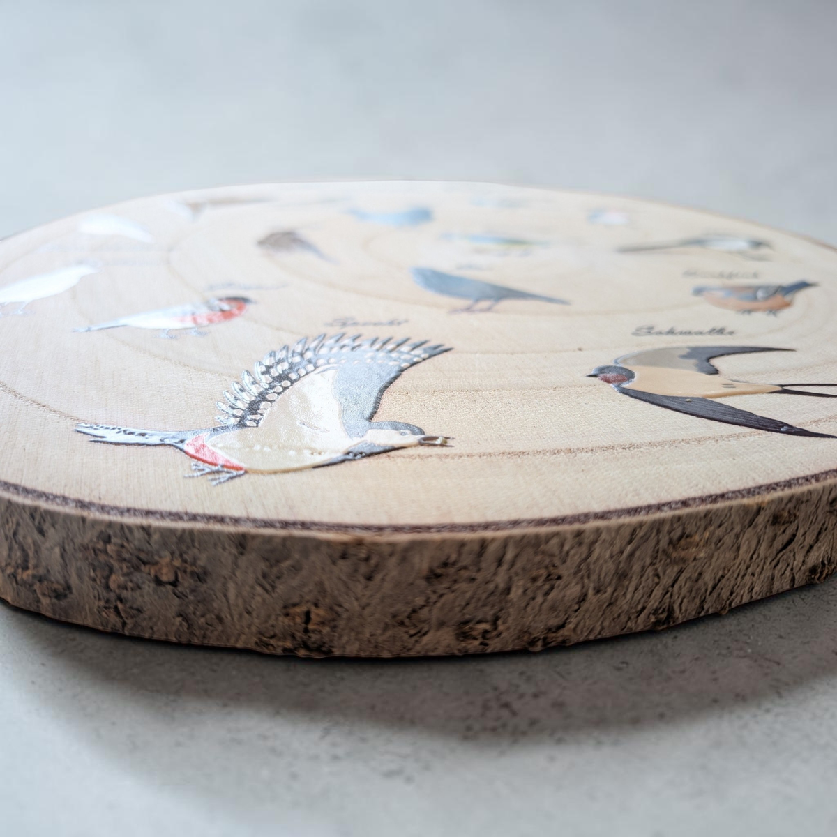 Eine runde Holzscheibe aus hellem Paulownia-Holz mit echter Baumrinde. Auf der Oberfläche sind im Kreis 14 verschiedene heimische Vogelarten wie Blaumeise, Rotkehlchen und Specht mit ihren Namen farbig aufgedruckt. Oben steht der geschwungene Schriftzug "Heimische Vögel". Der Druck hat ein fühlbares 0,3 mm Relief.
