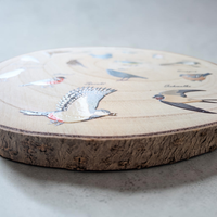 Eine runde Holzscheibe aus hellem Paulownia-Holz mit echter Baumrinde. Auf der Oberfläche sind im Kreis 14 verschiedene heimische Vogelarten wie Blaumeise, Rotkehlchen und Specht mit ihren Namen farbig aufgedruckt. Oben steht der geschwungene Schriftzug "Heimische Vögel". Der Druck hat ein fühlbares 0,3 mm Relief.