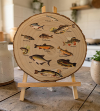 Runde Wanddekoration aus hellem Paulownia-Holz mit echter Rinde. Die Holzscheibe zeigt einen kreisförmigen, farbigen UV-Druck mit 12 detailreichen Vintage-Illustrationen von heimischen Süßwasserfischen wie Hecht und Forelle aus der Zeit um 1900. In der Mitte steht der geschwungene Schriftzug "Unsere Fische". Der Druck besitzt ein fühlbares 0,3 mm Relief.