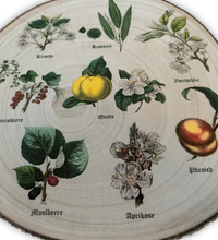 Runde Wanddekoration aus hellem Paulownia-Holz mit echter Rinde. Die Holzscheibe zeigt einen kreisförmigen, farbigen UV-Druck mit 8 detailreichen Vintage-Illustrationen von verschiedenen Obstsorten und Früchten aus der Zeit um 1900. In der Mitte steht der geschwungene Schriftzug "Der Garten". Der Druck besitzt ein fühlbares 0,3 mm Relief.