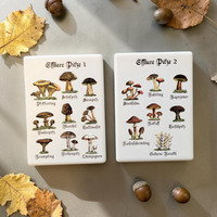 Nahaufnahme von weißen, rechteckigen Keramikmagneten mit Vintage-Illustrationen verschiedener essbarer Pilze wie Steinpilz und Pfifferling. Die Beschriftung ist in klassischer Frakturschrift gehalten.