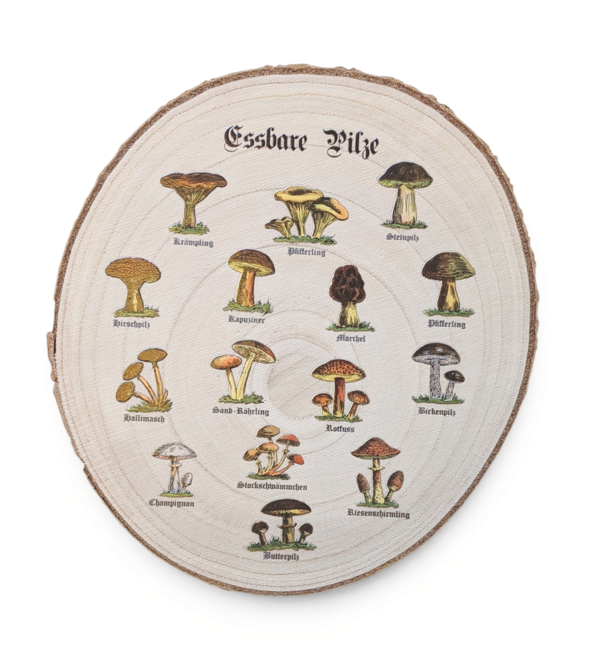 Rustikale Paulownia-Holzscheibe mit Rinde, bedruckt mit historischen Illustrationen essbarer Pilze und altdeutschen Namen im Vintage-Botanik-Stil auf hellem Holz.