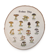 Rustikale Paulownia-Holzscheibe mit Rinde, bedruckt mit historischen Illustrationen essbarer Pilze und altdeutschen Namen im Vintage-Botanik-Stil auf hellem Holz.