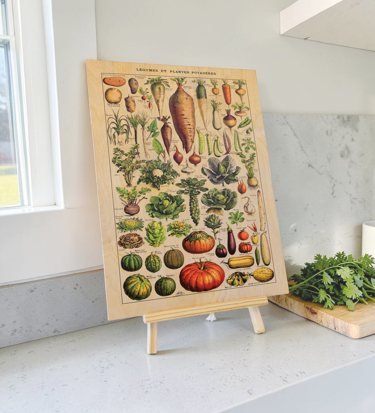 Vintage Küchenbild – Saisonales Gemüse | Botanische Illustration nach Adolphe Millot 30x40 cm auf 9mm Birkensperrholz
