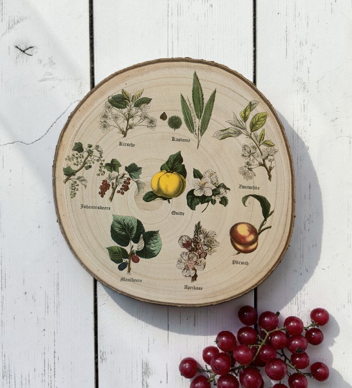 Runde Wanddekoration aus hellem Paulownia-Holz mit echter Rinde. Die Holzscheibe zeigt einen kreisförmigen, farbigen UV-Druck mit 8 detailreichen Vintage-Illustrationen von verschiedenen Obstsorten und Früchten aus der Zeit um 1900. In der Mitte steht der geschwungene Schriftzug "Der Garten". Der Druck besitzt ein fühlbares 0,3 mm Relief.