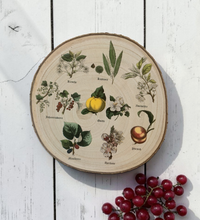 Runde Wanddekoration aus hellem Paulownia-Holz mit echter Rinde. Die Holzscheibe zeigt einen kreisförmigen, farbigen UV-Druck mit 8 detailreichen Vintage-Illustrationen von verschiedenen Obstsorten und Früchten aus der Zeit um 1900. In der Mitte steht der geschwungene Schriftzug "Der Garten". Der Druck besitzt ein fühlbares 0,3 mm Relief.