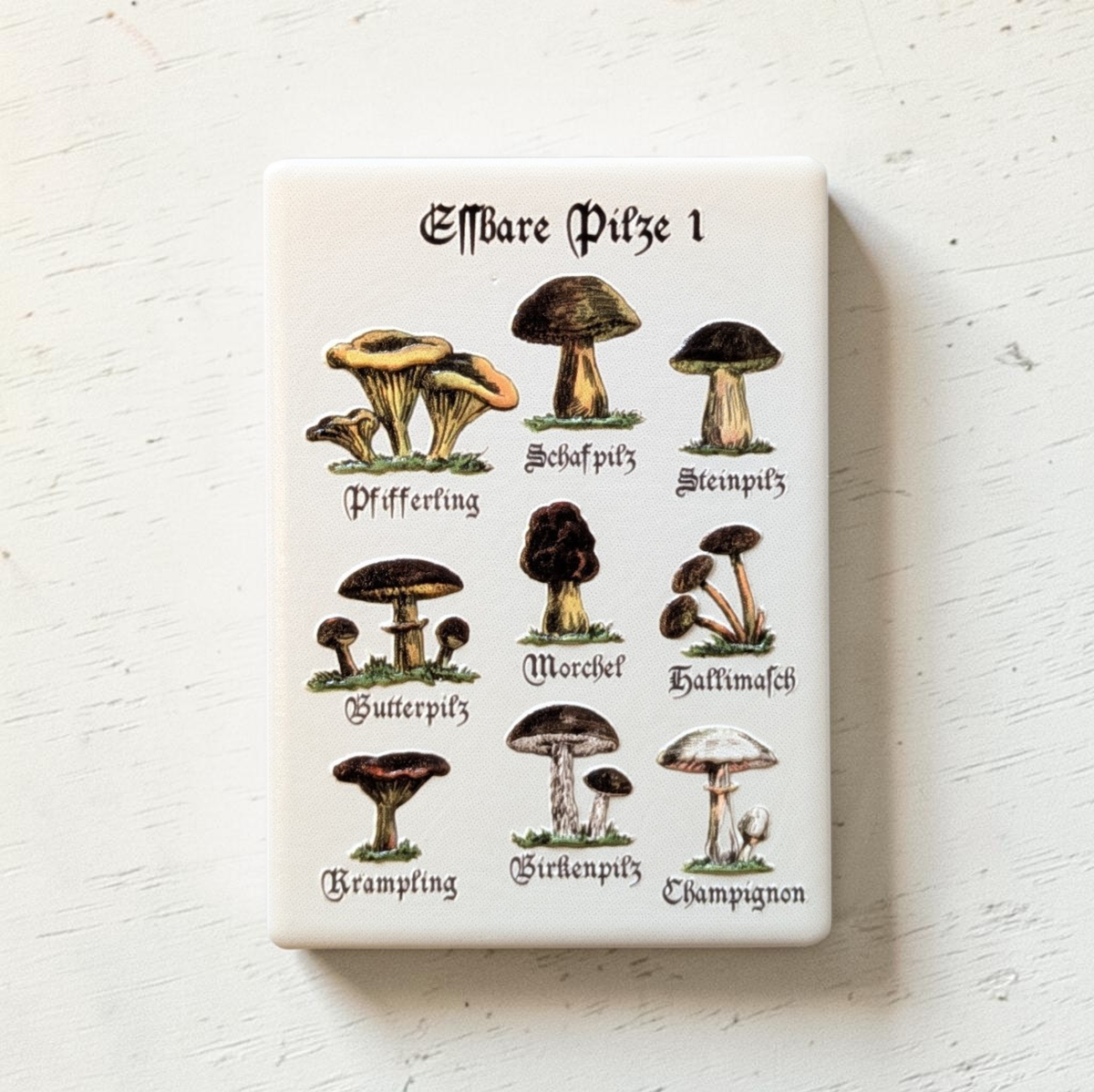Nahaufnahme von weißen, rechteckigen Keramikmagneten mit Vintage-Illustrationen verschiedener essbarer Pilze wie Steinpilz und Pfifferling. Die Beschriftung ist in klassischer Frakturschrift gehalten.