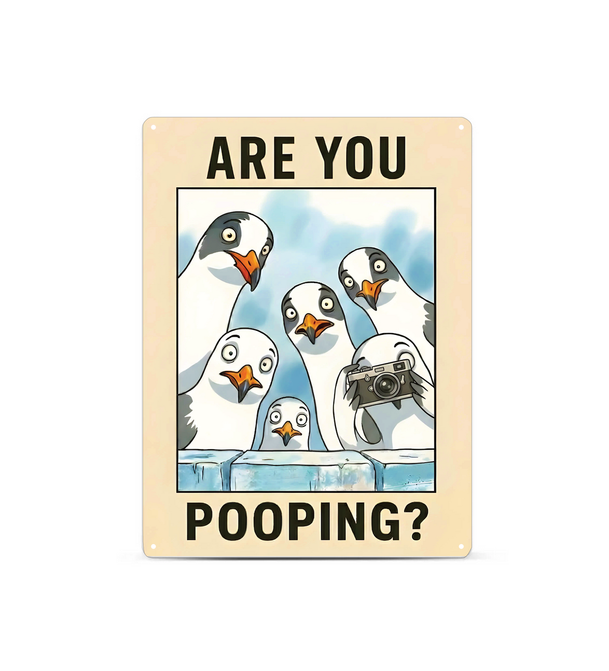 in rechteckiges, weißes Metallschild mit der Aufschrift „ARE YOU POOPING?“ oben und unten. In der Mitte blicken sechs neugierige, comicartig gezeichnete Möwen mit großen Augen über eine blaue Mauer direkt nach vorne. Das Schild steht aufrecht vor einem neutralen, hellen Hintergrund.