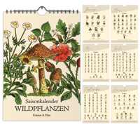 A4-Wandkalender mit historischen Illustrationen von Wildpflanzen, Kräutern und Pilzen aus der Zeit um 1900; Monatsübersicht mit saisonalen Pflanzen, hochwertiger Fineart-Druck auf Premium-Papier, Vintage-Design mit schwarzer Spiralbindung.
