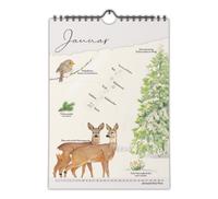 Immerwährender A4 Wandkalender mit naturgetreuen Zeichnungen von Tieren und Pflanzen, schwarzer Spiralbindung und einem Kalendarium, das die phänologischen Jahreszeiten erklärt.