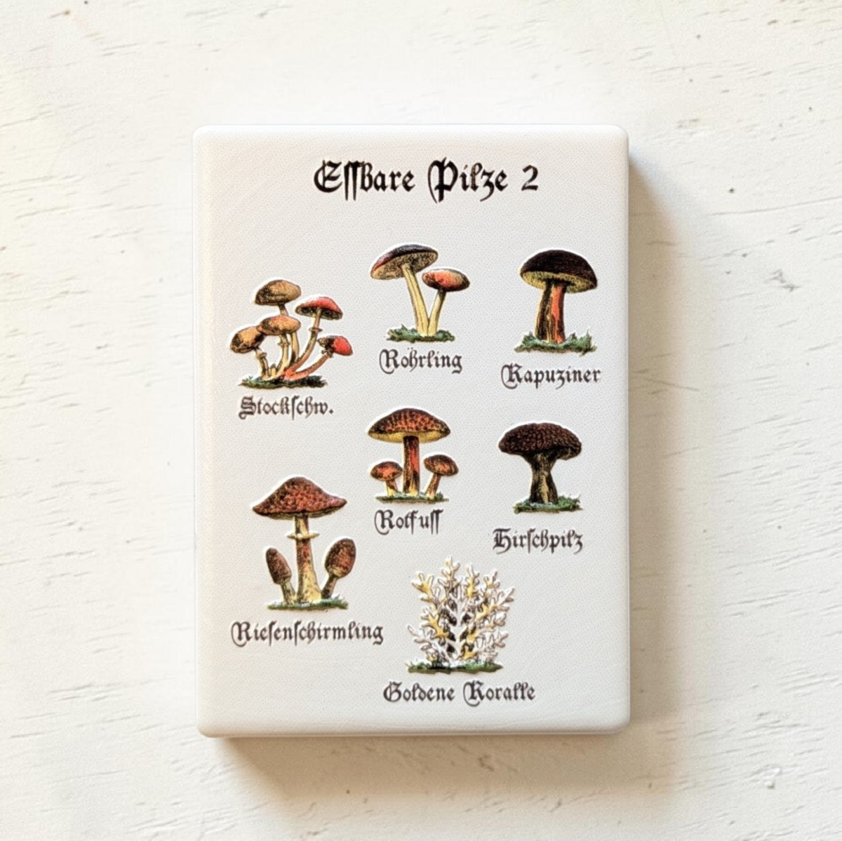 Nahaufnahme von weißen, rechteckigen Keramikmagneten mit Vintage-Illustrationen verschiedener essbarer Pilze wie Steinpilz und Pfifferling. Die Beschriftung ist in klassischer Frakturschrift gehalten.