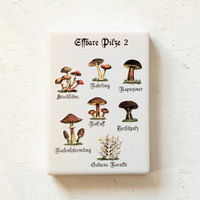 Nahaufnahme von weißen, rechteckigen Keramikmagneten mit Vintage-Illustrationen verschiedener essbarer Pilze wie Steinpilz und Pfifferling. Die Beschriftung ist in klassischer Frakturschrift gehalten.