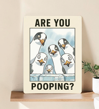 in rechteckiges, weißes Metallschild mit der Aufschrift „ARE YOU POOPING?“ oben und unten. In der Mitte blicken sechs neugierige, comicartig gezeichnete Möwen mit großen Augen über eine blaue Mauer direkt nach vorne. Das Schild steht aufrecht vor einem neutralen, hellen Hintergrund.