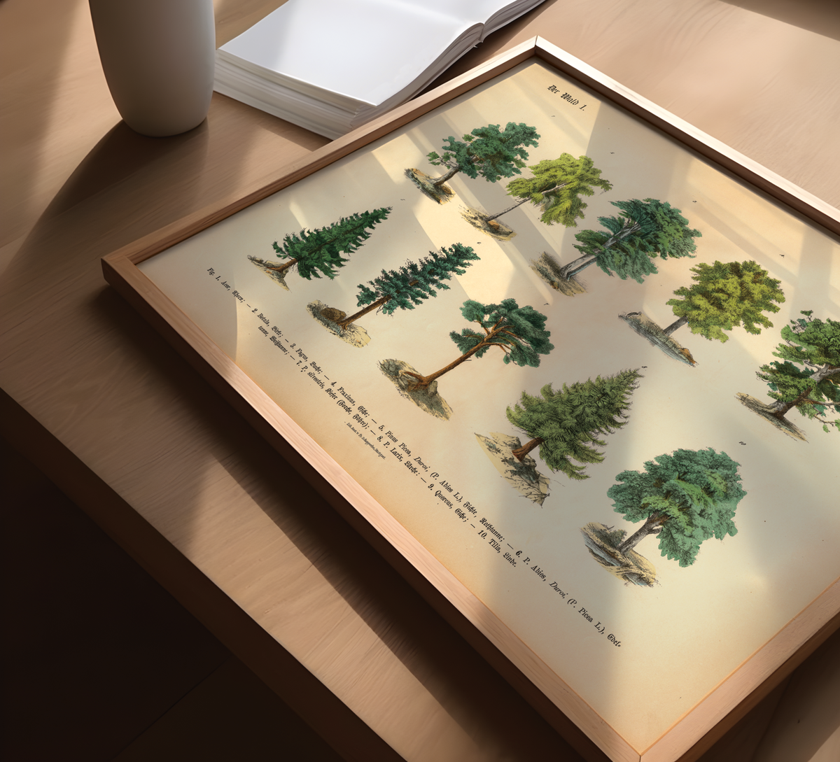 Vintage-Waldposter mit botanischer Baumillustration von 1886 – Fineart-Druck auf 200 g/m² Premium-Papier, ungerahmt, ideal für Wohnzimmer, Arbeitszimmer oder Praxis