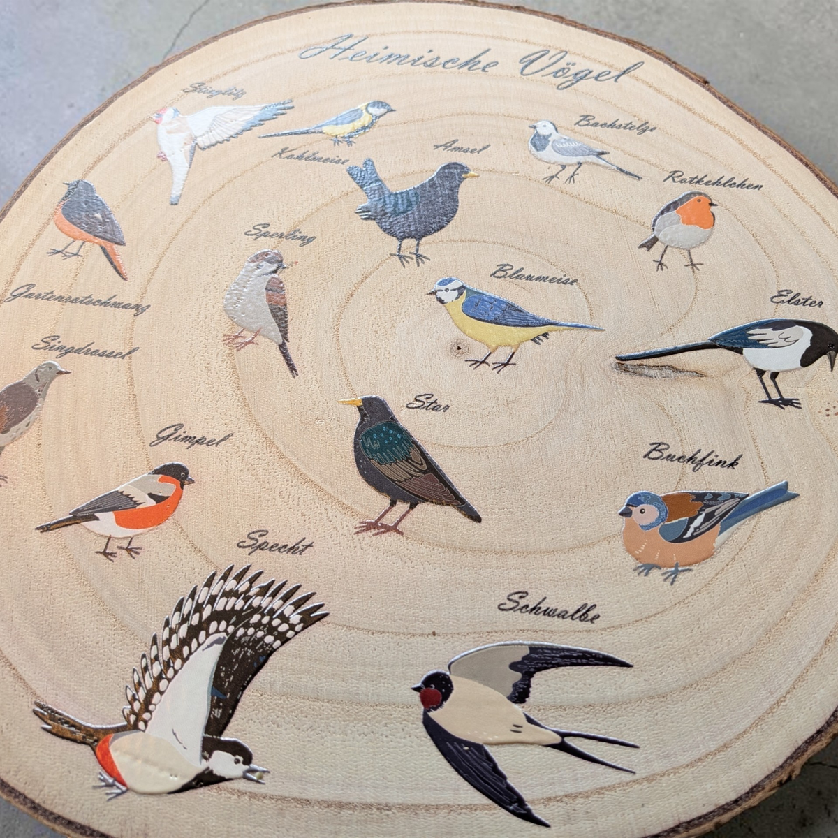 Eine runde Holzscheibe aus hellem Paulownia-Holz mit echter Baumrinde. Auf der Oberfläche sind im Kreis 14 verschiedene heimische Vogelarten wie Blaumeise, Rotkehlchen und Specht mit ihren Namen farbig aufgedruckt. Oben steht der geschwungene Schriftzug "Heimische Vögel". Der Druck hat ein fühlbares 0,3 mm Relief.