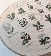 Kreisrunde, rustikale Holzscheibe mit natürlicher Rinde, auf die 16 detailreiche, farbige Vintage-Illustrationen heimischer Wildkräuter und Bäume mit ihren Namen im Kreis angeordnet gedruckt sind. In der Mitte steht der Titel „Heimische Wildkräuter“ in eleganter Schrift.