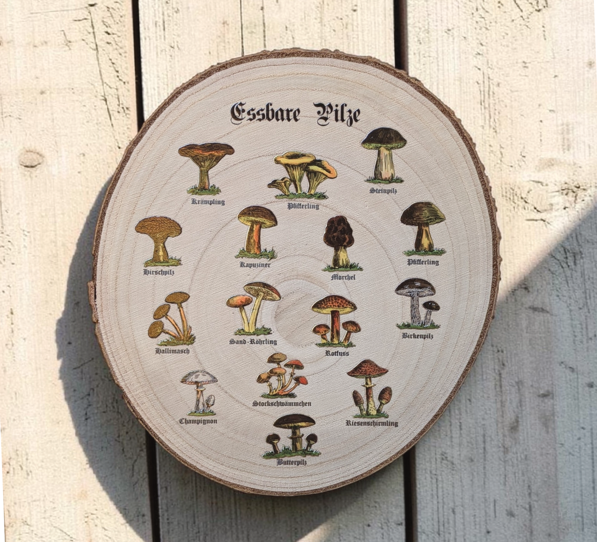 Rustikale Paulownia-Holzscheibe mit Rinde, bedruckt mit historischen Illustrationen essbarer Pilze und altdeutschen Namen im Vintage-Botanik-Stil auf hellem Holz.