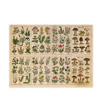 Vintage Holzbild Kräuter & Pilze | Botanik Illustration 1920 | 30x40cm Birkensperrholz | Rustikale Küchendeko und Wandbild Natur