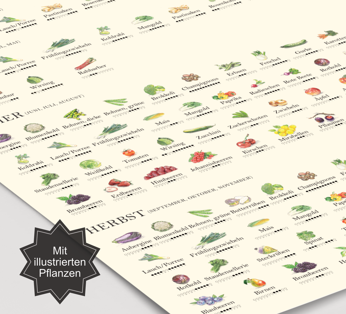 Saisonkalender für Obst und Gemüse als Küchenposter – liebevoll illustriert mit Jahreszeitenübersicht, nachhaltigem Design und Fineart-Druck, das Poster ist ideal als Küchendeko oder Geschenk für umweltbewusste Haushalte.