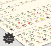 Saisonkalender für Obst und Gemüse als Küchenposter – liebevoll illustriert mit Jahreszeitenübersicht, nachhaltigem Design und Fineart-Druck, das Poster ist ideal als Küchendeko oder Geschenk für umweltbewusste Haushalte.