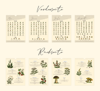 A4-Wandkalender mit historischen Illustrationen von Wildpflanzen, Kräutern und Pilzen aus der Zeit um 1900; Monatsübersicht mit saisonalen Pflanzen, hochwertiger Fineart-Druck auf Premium-Papier, Vintage-Design mit schwarzer Spiralbindung.