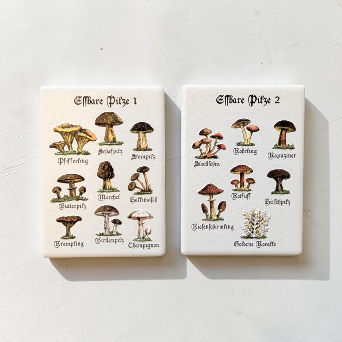 Nahaufnahme von weißen, rechteckigen Keramikmagneten mit Vintage-Illustrationen verschiedener essbarer Pilze wie Steinpilz und Pfifferling. Die Beschriftung ist in klassischer Frakturschrift gehalten.