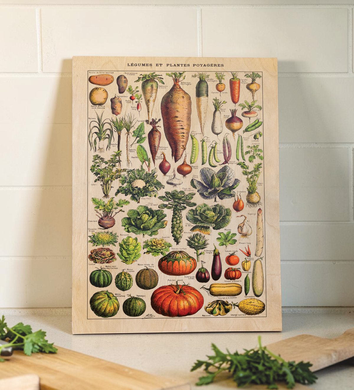 Vintage Küchenbild – Saisonales Gemüse | Botanische Illustration nach Adolphe Millot 30x40 cm auf 9mm Birkensperrholz