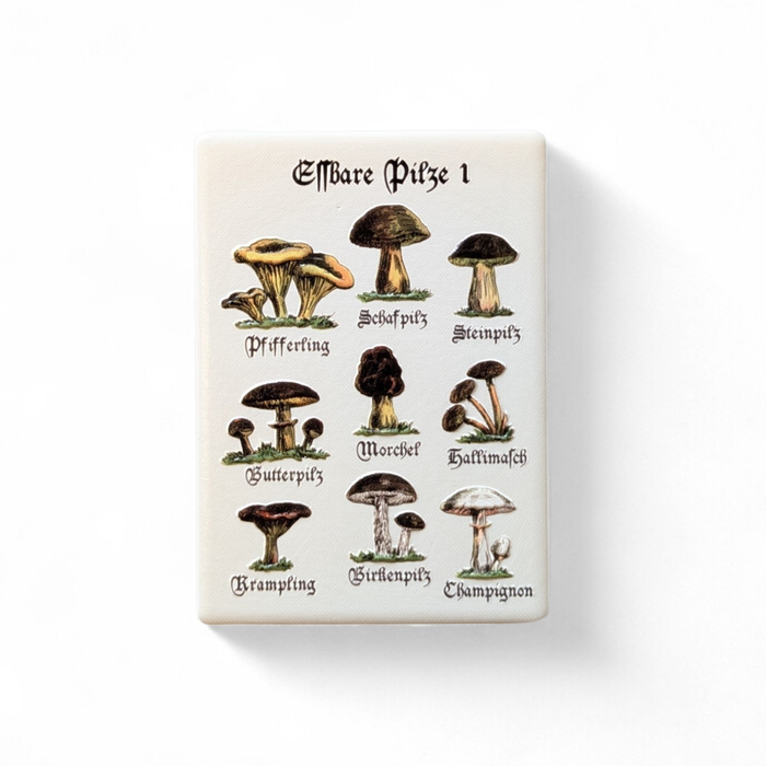 Nahaufnahme von weißen, rechteckigen Keramikmagneten mit Vintage-Illustrationen verschiedener essbarer Pilze wie Steinpilz und Pfifferling. Die Beschriftung ist in klassischer Frakturschrift gehalten.