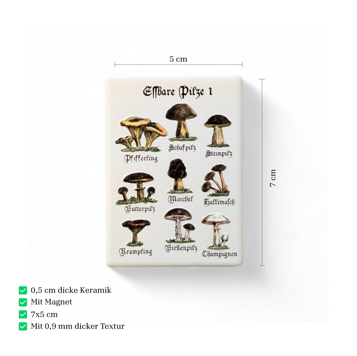 Nahaufnahme von weißen, rechteckigen Keramikmagneten mit Vintage-Illustrationen verschiedener essbarer Pilze wie Steinpilz und Pfifferling. Die Beschriftung ist in klassischer Frakturschrift gehalten.