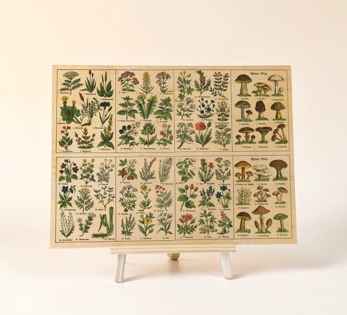 Vintage Holzbild Kräuter & Pilze | Botanik Illustration 1920 | 30x40cm Birkensperrholz | Rustikale Küchendeko und Wandbild Natur