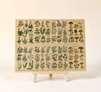 Vintage Holzbild Kräuter & Pilze | Botanik Illustration 1920 | 30x40cm Birkensperrholz | Rustikale Küchendeko und Wandbild Natur