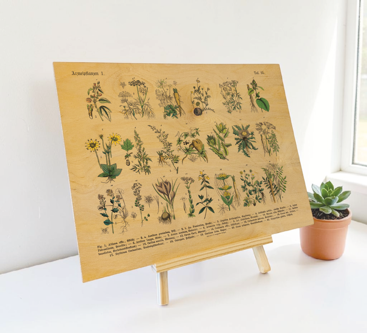 Vintage Holz-Bild mit botanischer Illustration von Kräutern und Arzneipflanzen aus dem 19. Jahrhundert, gedruckt auf 3mm dickem Birkensperrholz inklusive Wandanhänger.
