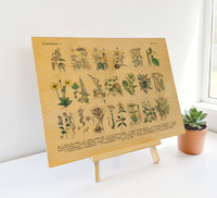 Vintage Holz-Bild mit botanischer Illustration von Kräutern und Arzneipflanzen aus dem 19. Jahrhundert, gedruckt auf 3mm dickem Birkensperrholz inklusive Wandanhänger.