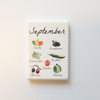 Saisonkalender Kühlschrankmagneten aus Keramik. Jeder Magnet repräsentiert einen Monat von Januar bis Dezember mit deutscher Beschriftung in geschwungener Schrift. Auf der cremefarbenen Oberfläche sind detailreiche, farbige Illustrationen von saisonalem Obst und Gemüse mit den jeweiligen Namen abgebildet.
