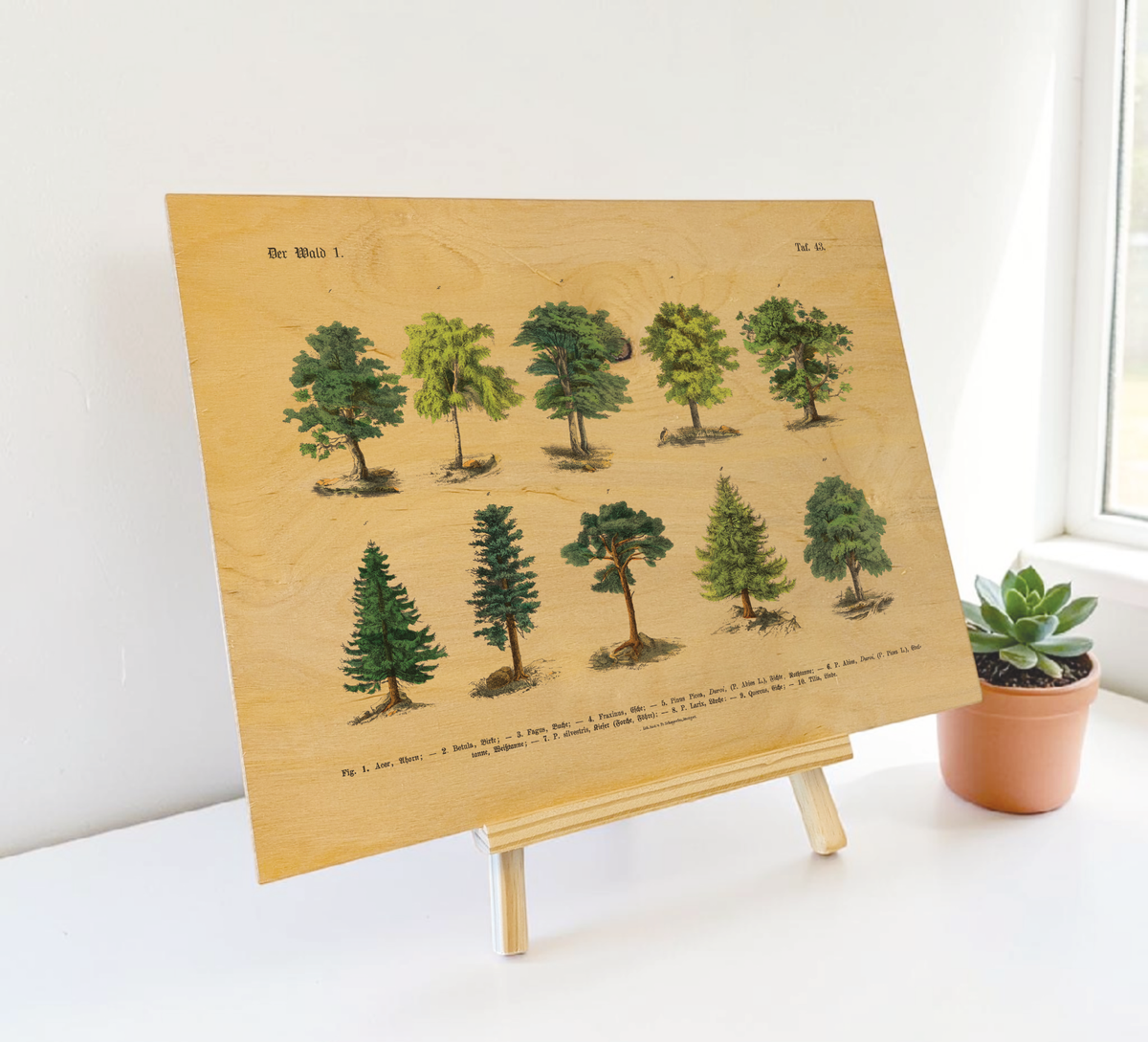 Botanische Wald-Illustration als UV-Direktdruck auf einer 9mm starken Birkenholzplatte. Die natürliche Holzmaserung scheint durch das Vintage-Baummotiv hindurch.