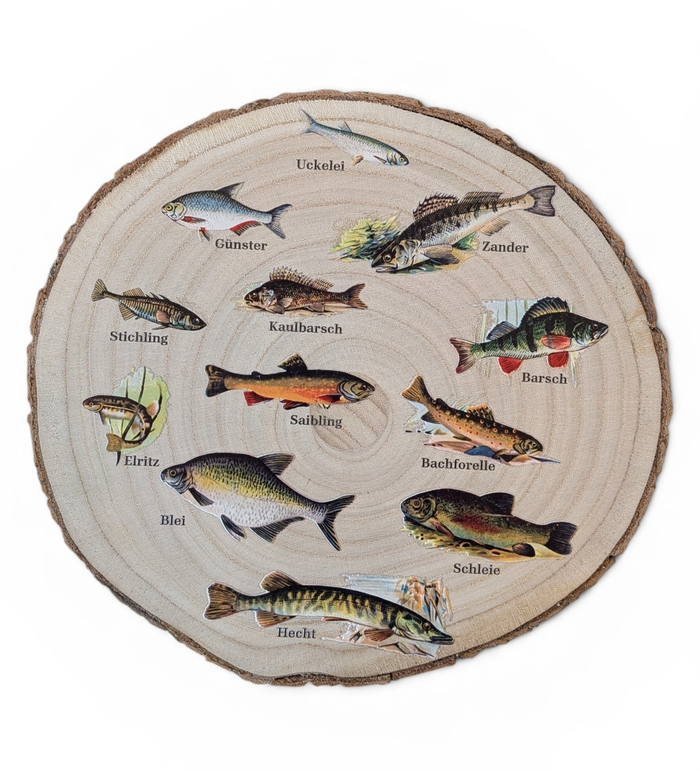 Runde Wanddekoration aus hellem Paulownia-Holz mit echter Rinde. Die Holzscheibe zeigt einen kreisförmigen, farbigen UV-Druck mit 12 detailreichen Vintage-Illustrationen von heimischen Süßwasserfischen wie Hecht und Forelle aus der Zeit um 1900. In der Mitte steht der geschwungene Schriftzug "Unsere Fische". Der Druck besitzt ein fühlbares 0,3 mm Relief.