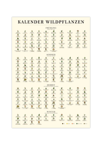 Poster „Saisonkalender Kräuter & Pilze“ – Fineart-Druck auf 200 g/m² Premium-Papier, beige, Vintage-Design, verschiedene Größen, ungerahmt. Ideal für Naturfreunde.