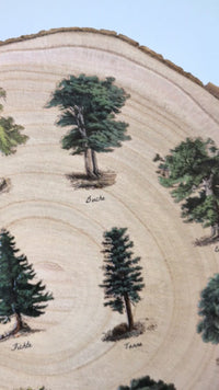 Vintage-Baumlexikon auf Holzscheibe: Detailreiche Illustrationen von 10 heimischen Bäumen mit deutscher Beschriftung im Kreis angeordnet.