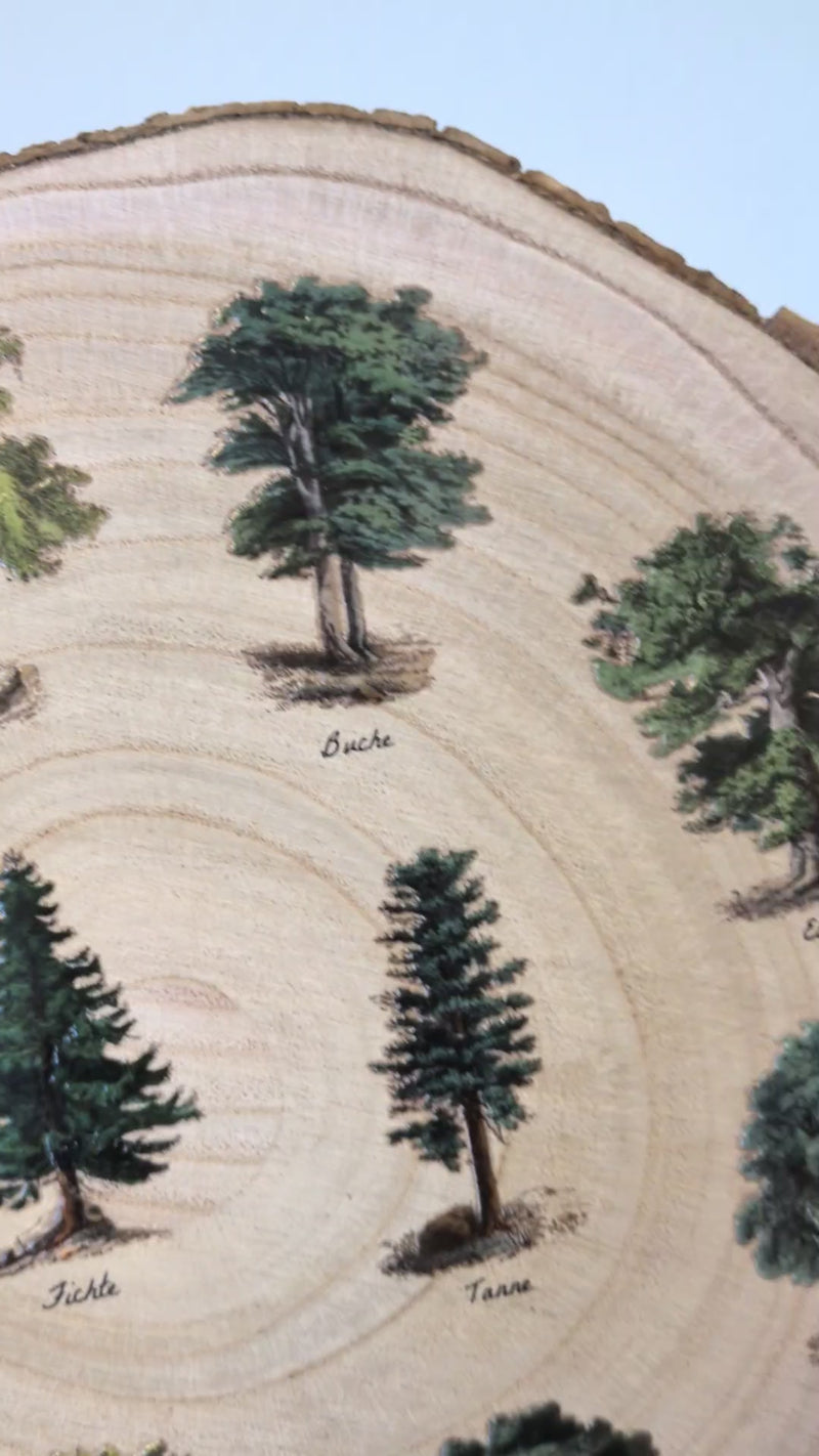 Vintage-Baumlexikon auf Holzscheibe: Detailreiche Illustrationen von 10 heimischen Bäumen mit deutscher Beschriftung im Kreis angeordnet.