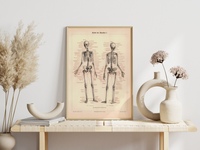 Das Poster eines menschlichen Skeletts ist eine Vintage Lithographie aus Meyers Koversations-Lexikon aus dem Jahr 1890.